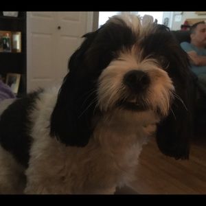 Meet your Posher, Krista